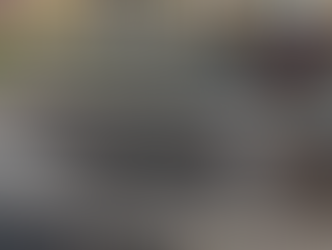 IL GIARDINO DEI GIOCHI MANCANTI