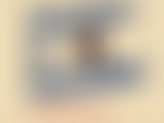 BARRIERA IS BEAUTIFUL