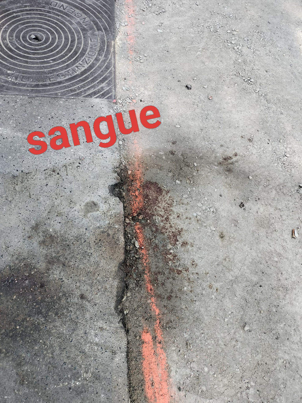 Le foto sono state scattate da una residente in via Volpiano