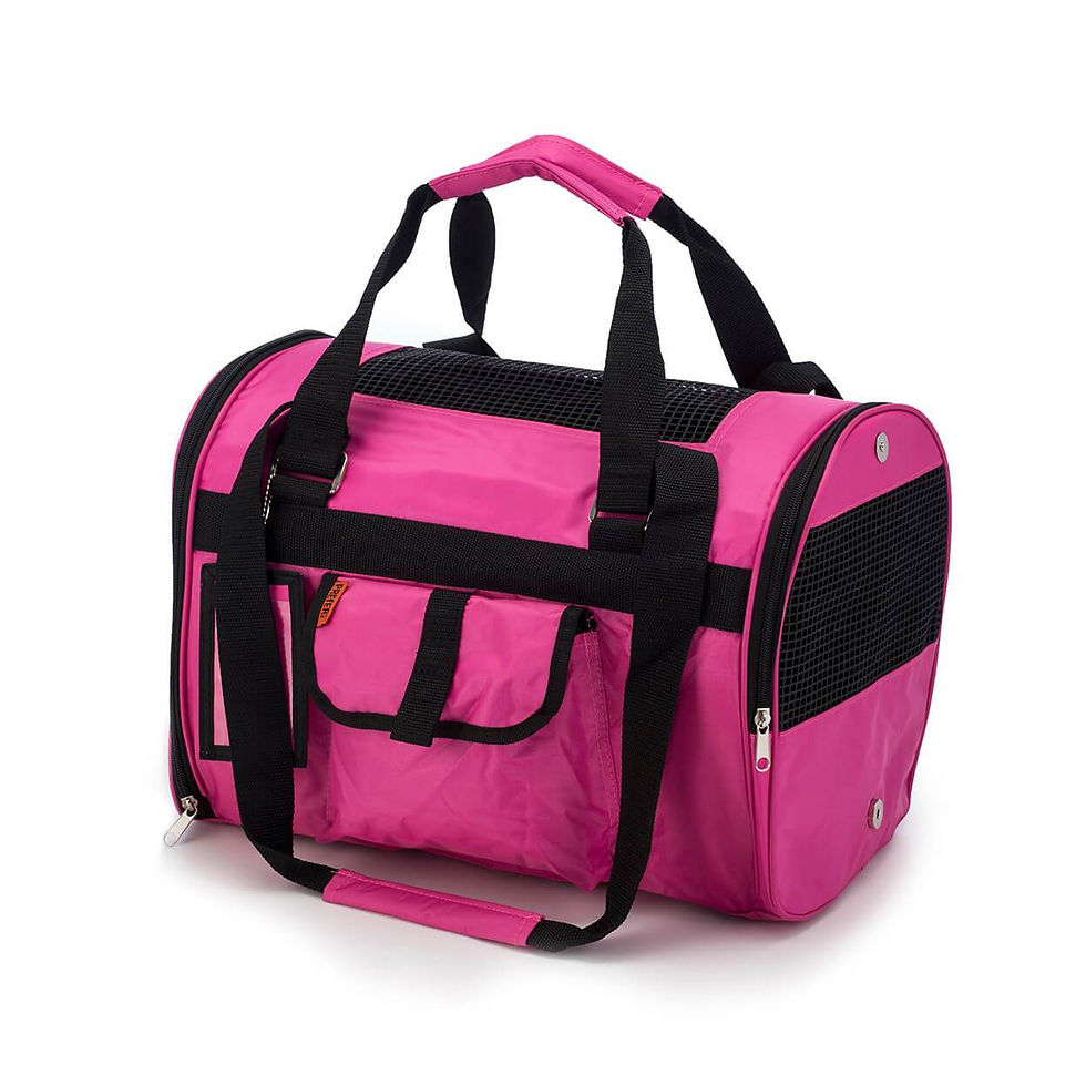Thumbnail: 566 Jet Carrier - Pet Carrier