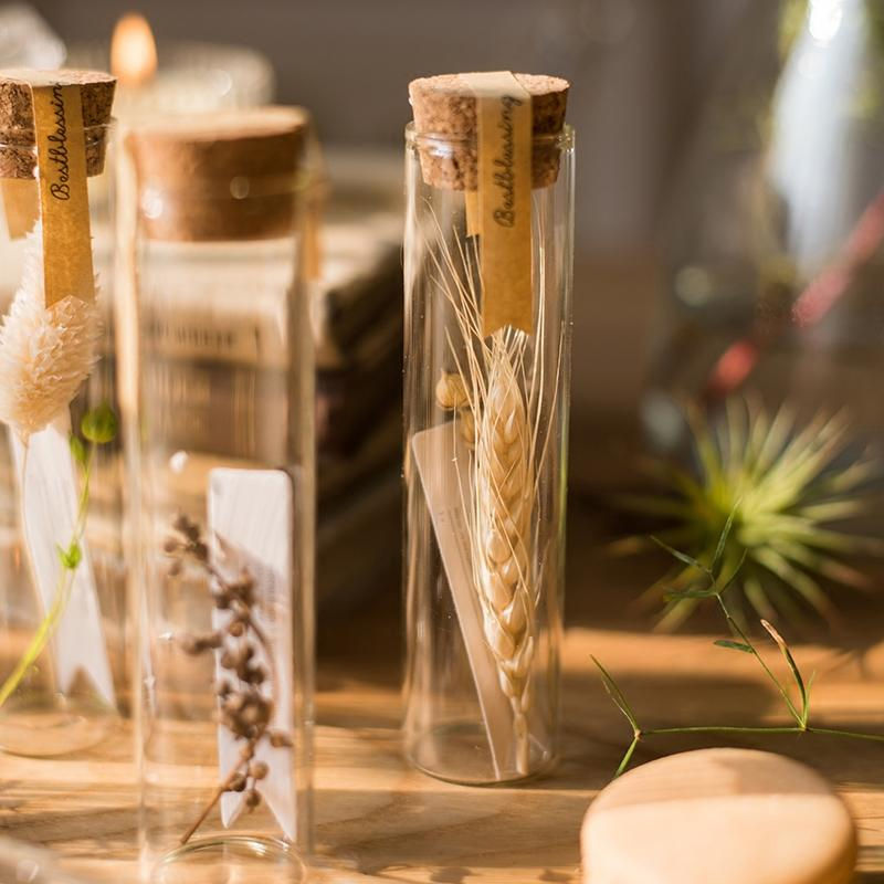Thumbnail: Natural Dried Flower in Glass Tube Randomly Picked Set of 5