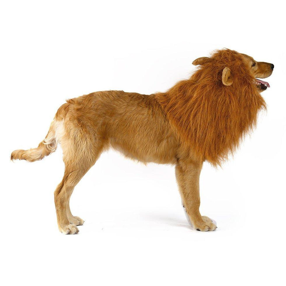 Thumbnail: Lion Theme Dog Wig