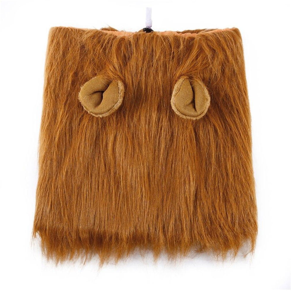 Thumbnail: Lion Theme Dog Wig