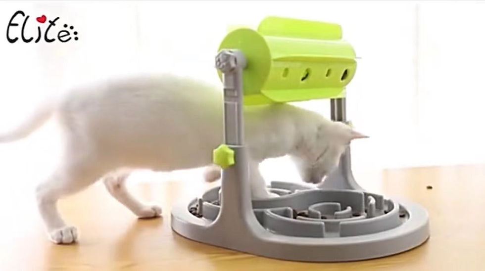 Thumbnail: Interactive Pet Food Bowl Puppy Slow Feeder Puzzle Toy Feed For Dog