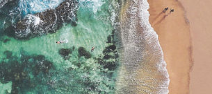 Baja California Sur, un gran destino por descubrir