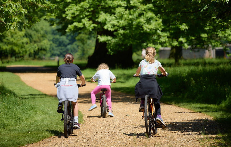 Wide angle view of a family cycling along a Suffolk country lane