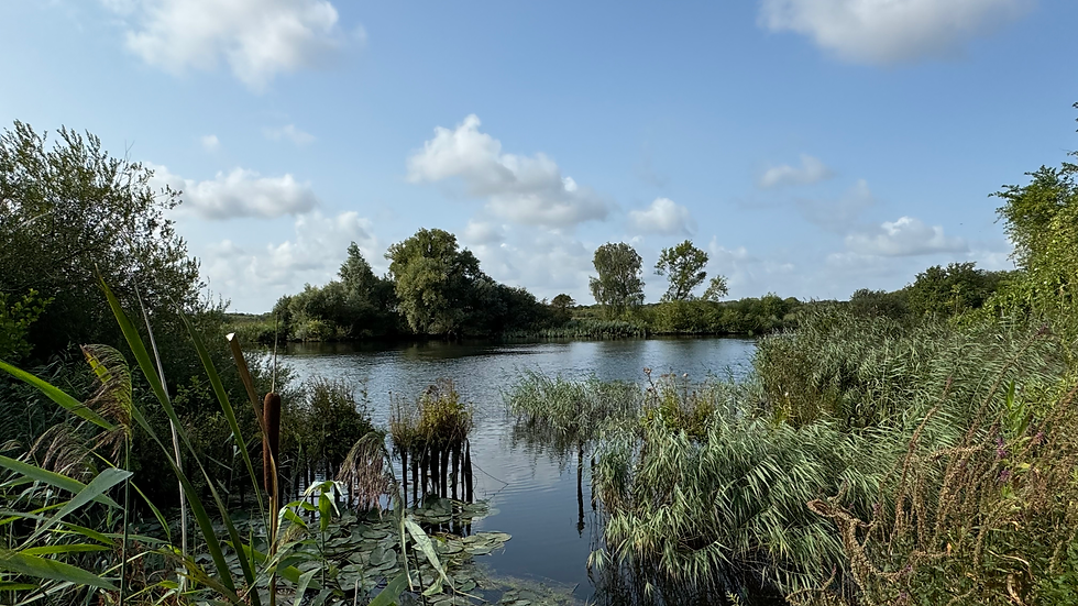 River Wensum