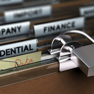 Document Segment Security: The Background