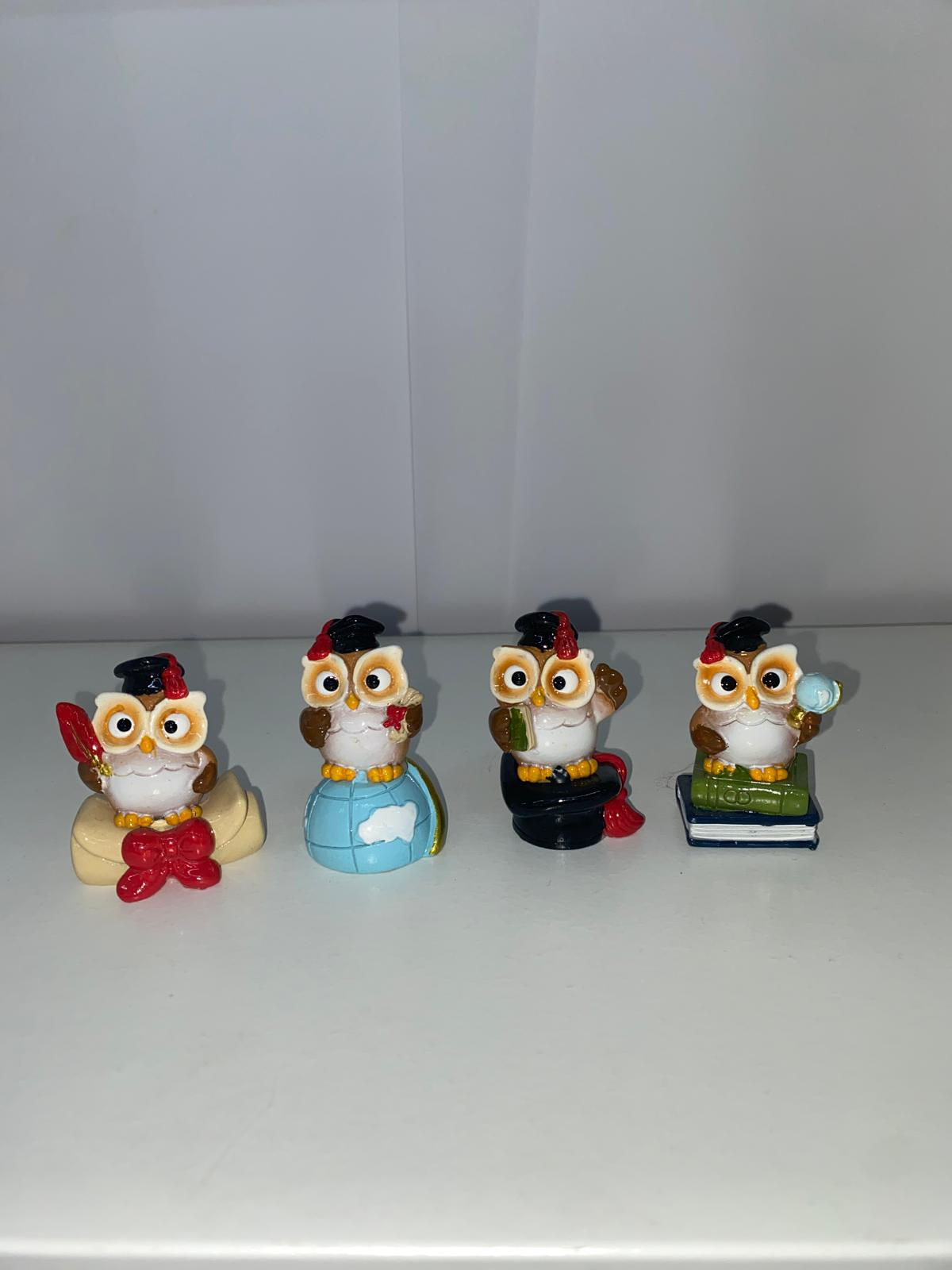 GUFFETTO LAUREA 4 MODELLI ASSORTITI MEDIO RESINA COLORATA