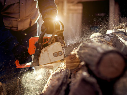 The Chainsaw Revolution: Javier Milei’s Rothbardian Assault on Argentine Collectivism