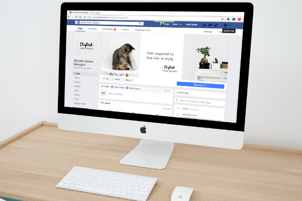 Conheça os Guias que preparei para Marketing Político Negócio e HomeOffice que irão te ajudar na sua Jornada: https://www.interidade-cursos-on-line.com.br/produtos-digitais-guias-de-marketing-politico-homeoffice-negocio 
