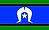 TSI Flag