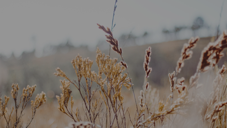 Heart-Health Takeaways from Alex’s Spring Conference Tour