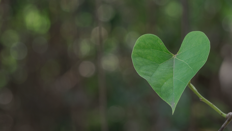 Four Heart Disease Risk Factors You May Not Know About
