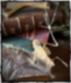 Thumbnail: Half Skeleton Open Wing Bat - Macroglossus Minimus