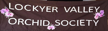 Orchid Society.jpg