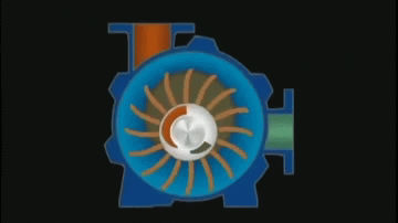 Liquid Ring