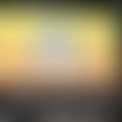 Encontro mensal GRUPO MULHERES DO BRASIL