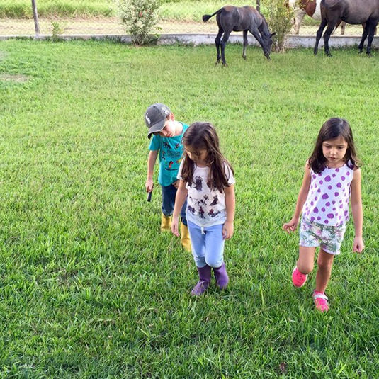 Esperanças para 2017!