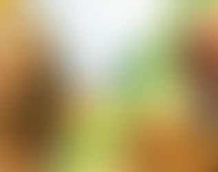 Sintonia entrevista Gilberto Cury, presidente da SBPNL