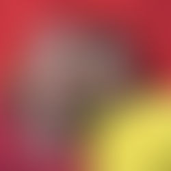 “Movimento Bem Querer Mulher” é tema do Sintonia by Betth Ripolli