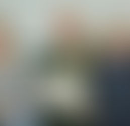 Parabéns e sucesso ao General de brigada Edson Diehl Ripoli