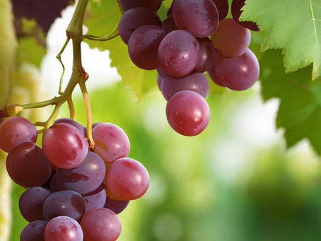 The Rising Global Demand for Grapes: Trends and Consumption Patterns