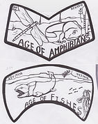 geot ao am n fish.jpg