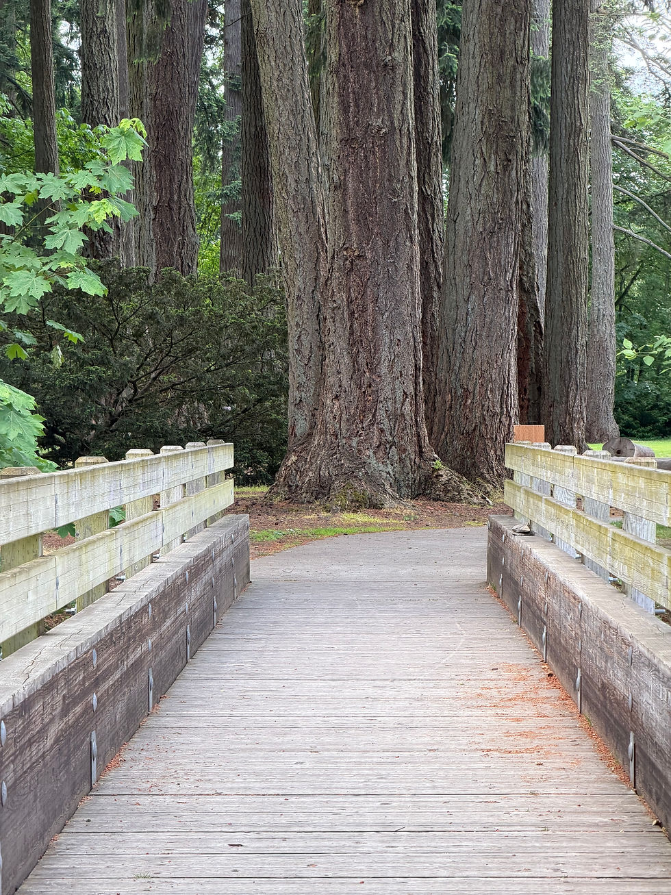Walking Bridge at Pioneer Park in Stayton Oregon