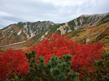 DSC_0531.JPG