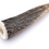 Miniature : Bois de cerf entier - Friandises naturelles pour chiens