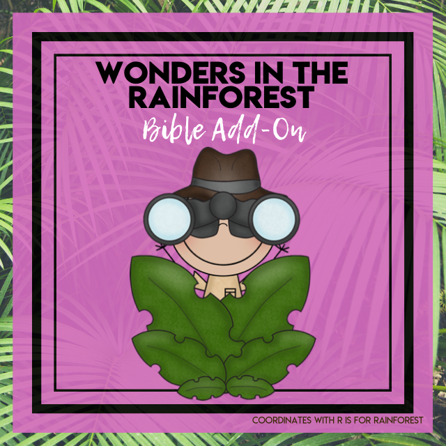 Wonders of the Rainforest