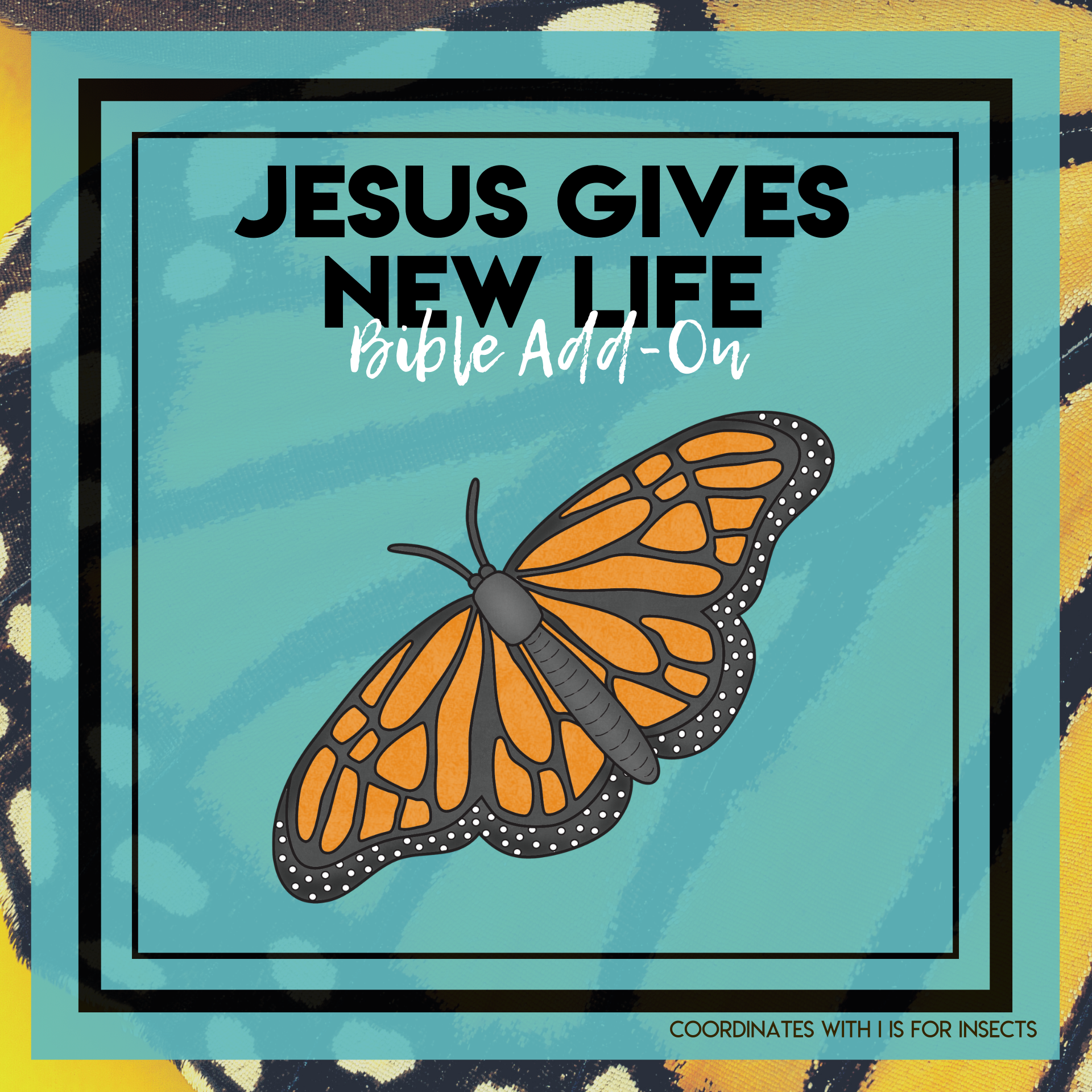 Jesus Gives New Life