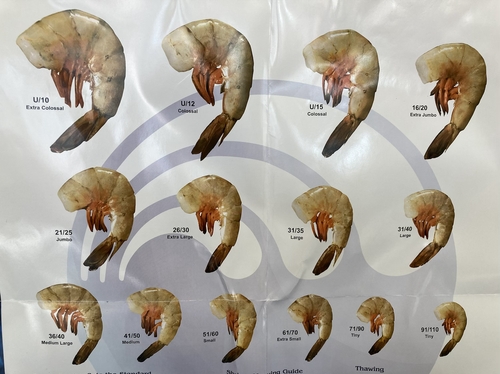 Farm 21/25 PD Shrimp Cleaned - Jumbo | JR Seafood