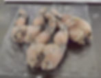 Frog Legs