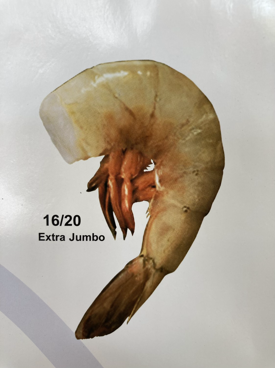 Raw Shrimp clean (16/20)