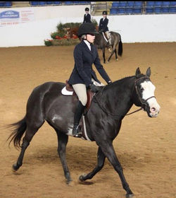 Whitestone Farm Local and Rated