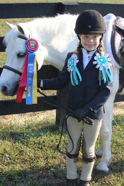 Whitestone Farm Local and Rated