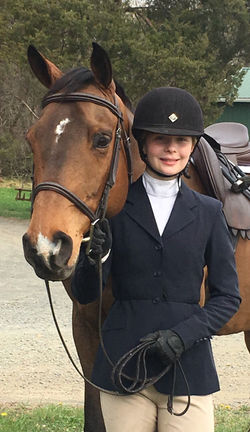 Whitestone Farm Horse and Rider