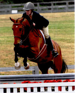 Whitestone Farm Local and Rated