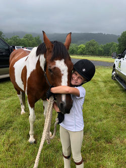 Whitestone Farm Horse and Rider