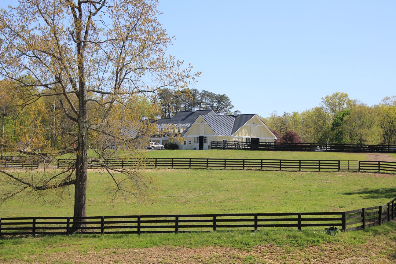 Whitestone Farm Pastures & Paddocks