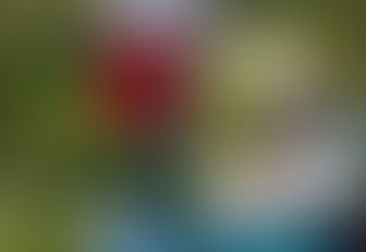 VERACRUZ: LA BRIGADA CIVIL HALLA ROPA ENSANGRENTADA DE JÓVENES Y NIÑOS, OLOR A MUERTE, CARTUCHOS