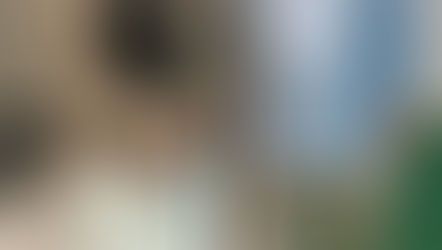 [COP 30]: A convite do CREA-PA/MÚTUA-PA, IBAPE-PA participa das discussões sobre o tema "Green Building"