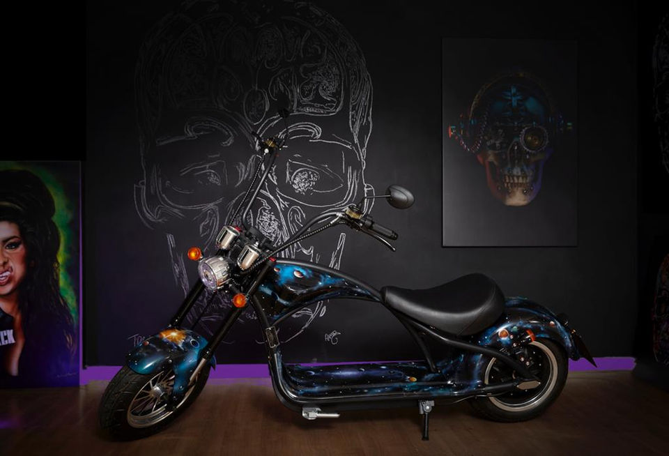 Unique Art Bikes