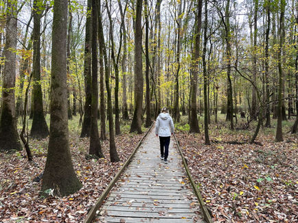 Weston Lake Loop: A Short Intro to Congaree NP