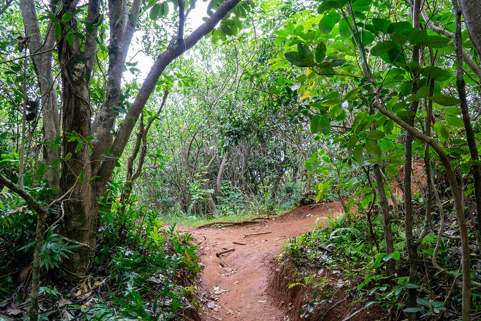 Olomana Trail ("Three Peaks") on Oahu, Hawaii