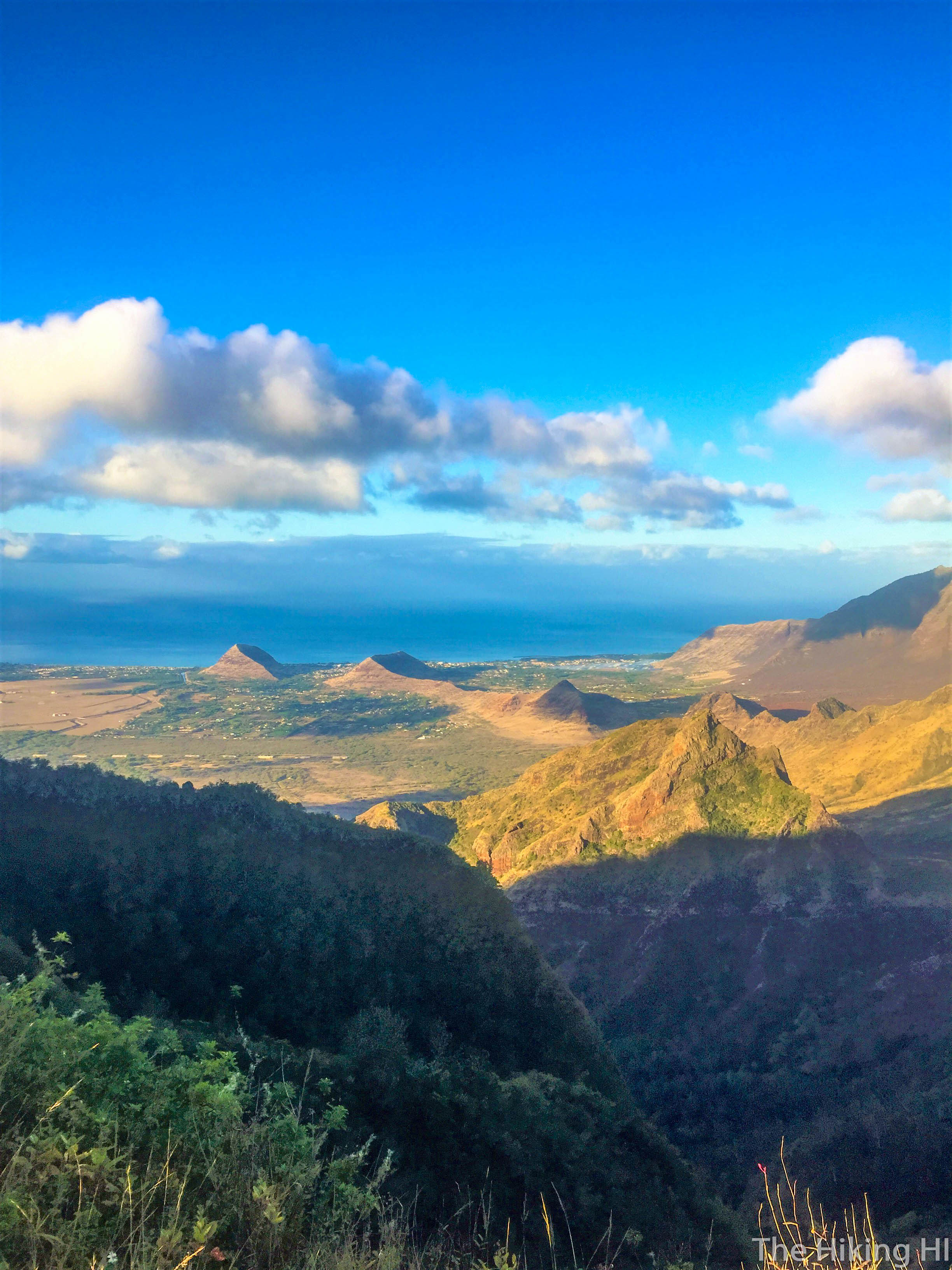 The Shapes of Waianae