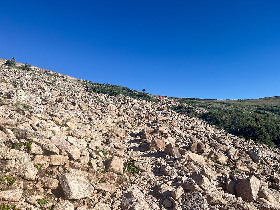 Mount Audubon Trail | Colorado