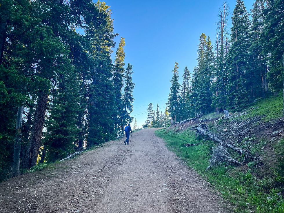 Mount Flora Trail, Colorado